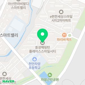서울대 영수 과외